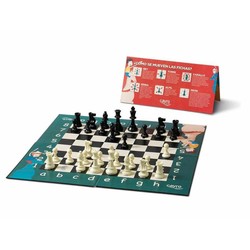 Juegos Mesa Niños: Ajedrez Educativo Cayro My First Chess - Compra online en MegaJuguetes