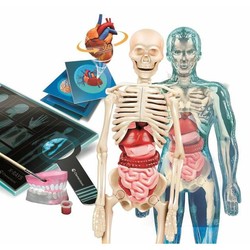 Juguetes Ciencia Niños: Clementoni Superanatomía - Compra online en MegaJuguetes 2