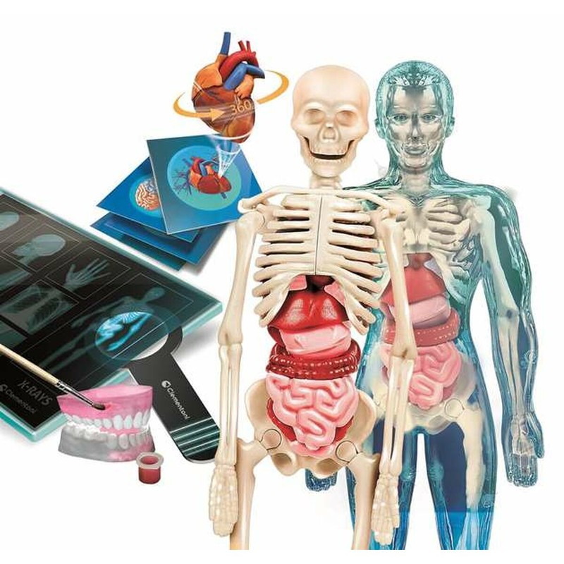 Juguetes Ciencia Niños: Clementoni Superanatomía