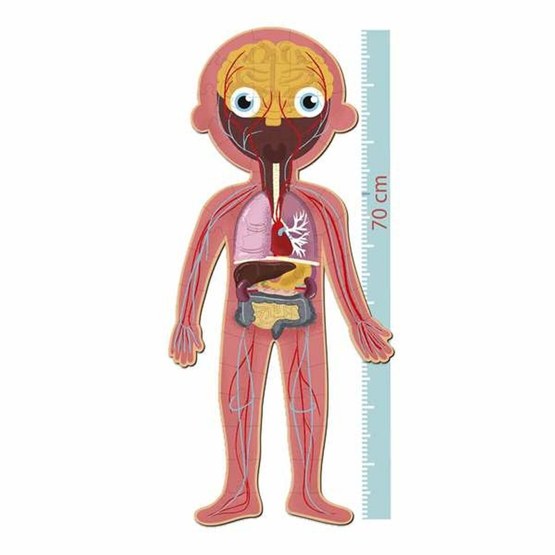 Puzzle infantil Apli Cuerpo Humano 240 Piezas