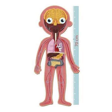 Puzzle infantil Apli Cuerpo Humano 240 Piezas