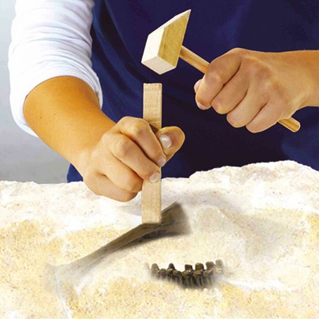 Juguetes Ciencia Niños: Kit Excavación Triceratops SES Creative