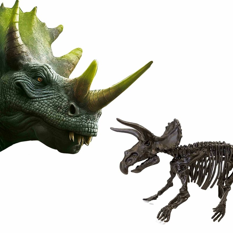 Juguetes Ciencia Niños: Kit Excavación Triceratops SES Creative