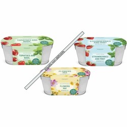 Juego Simbólico Niños Silverlit - Set de Limpieza Interactivo - Compra online en MegaJuguetes