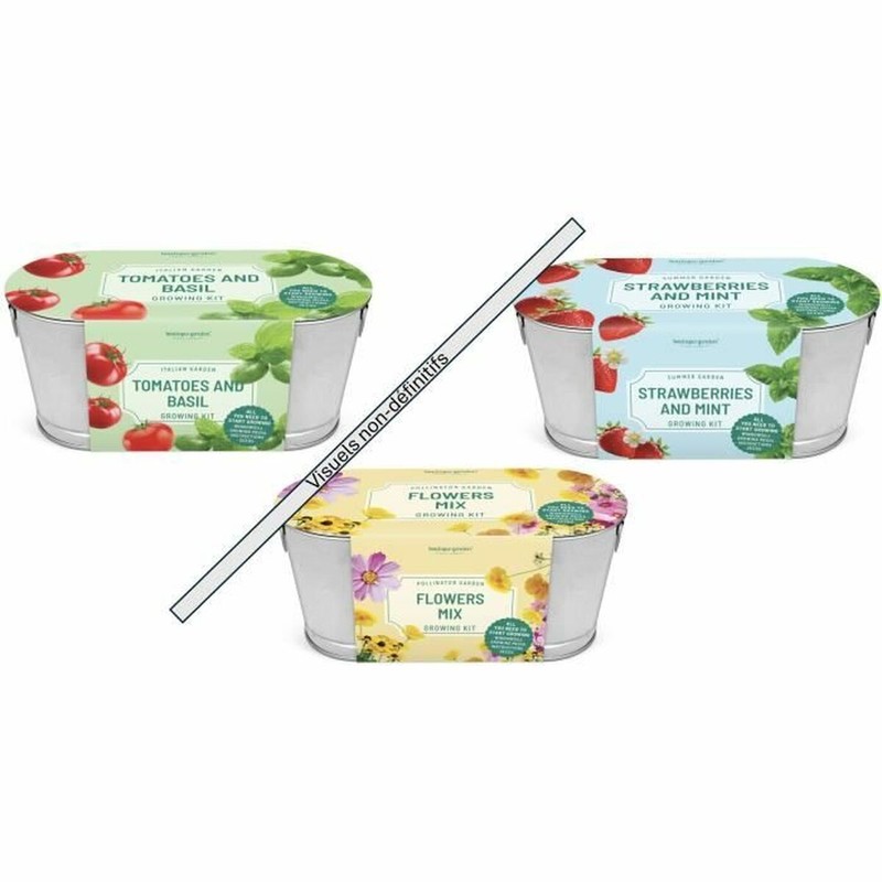 Juego Simbólico Niños Silverlit - Set de Limpieza Interactivo - Compra online en MegaJuguetes