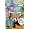Manualidades Niños: Álbum de Cromos Panini Animaux - Compra online en MegaJuguetes