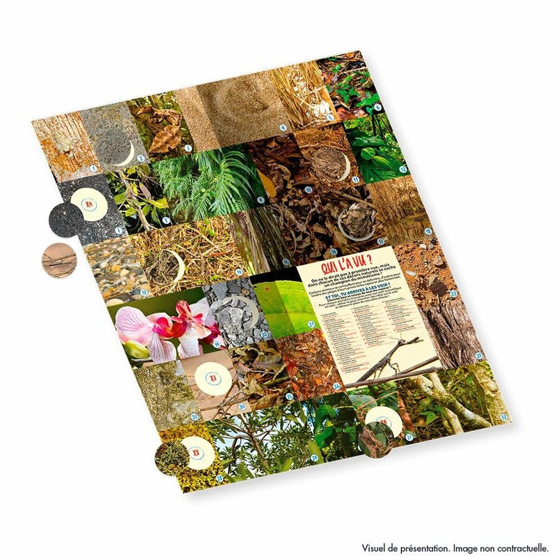 Manualidades Niños: Álbum de Cromos Panini Animaux