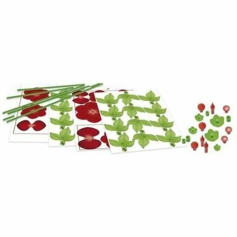 Materiales variados para set pintura niños y manualidades