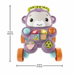 Juegos Mesa Niños: Fisher-Price Mi Mono Morado Educativo - Compra online en MegaJuguetes 2