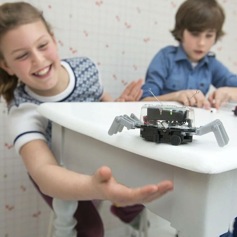 Juego Hape: plastilina para crear formas y desarrollar destreza