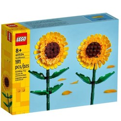Set LEGO 40524 Floral, juguete construcción niños para desarrollar creatividad