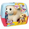 Peluche Interactivo Little Live Pets Mi Perro Ouchies jugando