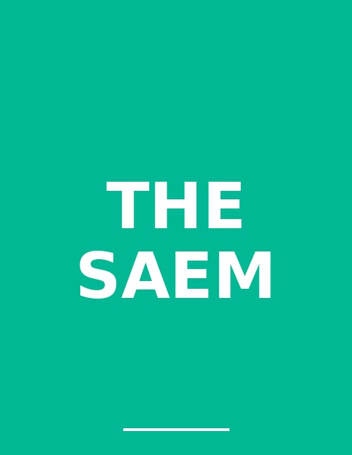 The Saem