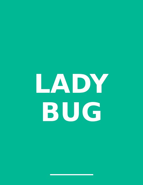 Lady Bug