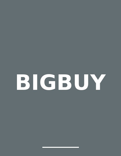 BigBuy